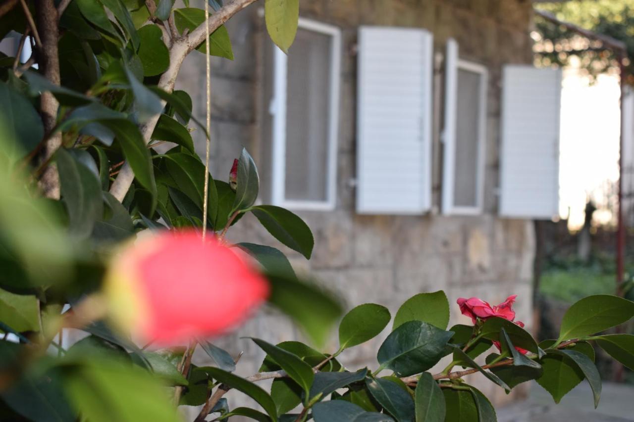 Old Town Studios Budva Exteriér fotografie